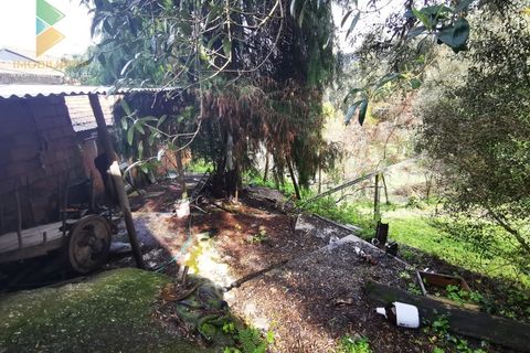 Landejendom i Gondufe, Viana do Castelo, Gondufe - € 65.000 | Ref: AVV-005-009 - foto 22