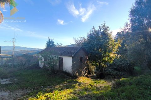 Landejendom i Gondufe, Viana do Castelo, Gondufe - € 65.000 | Ref: AVV-005-009 - foto 31