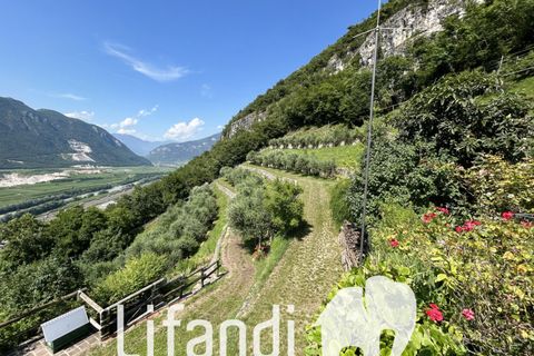Villa a Ala, Turin, Ala - € 750.000 | Ref: N018 - foto 6