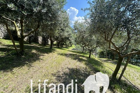 Villa a Ala, Turin, Ala - € 750.000 | Ref: N018 - foto 7