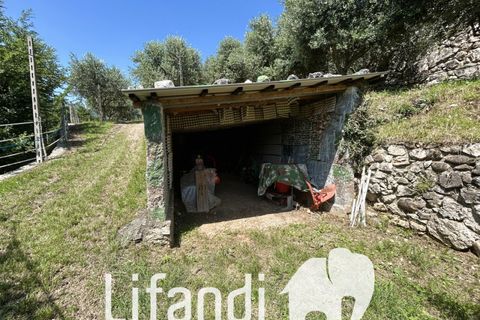 Villa a Ala, Turin, Ala - € 750.000 | Ref: N018 - foto 24