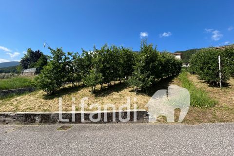 Tomt i Cles, Trento, Cles - € 130 000 | Ref: N002 - foto 7
