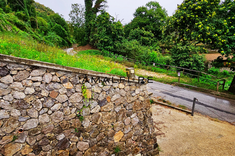 Landejendom i Agerola, Naples, Agerola - € 500.000 | Ref: AGEROLA3 - foto 19