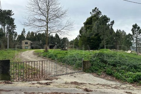 Erhvervsejendom i Moncao, Viana do Castelo, Moncao - € 149.000 | Ref: F2-04-13 - foto 3