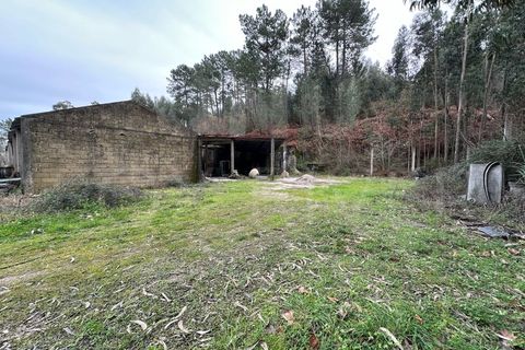 Erhvervsejendom i Moncao, Viana do Castelo, Moncao - € 149.000 | Ref: F2-04-13 - foto 9