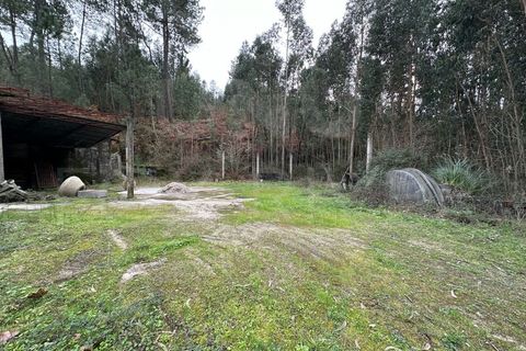 Erhvervsejendom i Moncao, Viana do Castelo, Moncao - € 149.000 | Ref: F2-04-13 - foto 10
