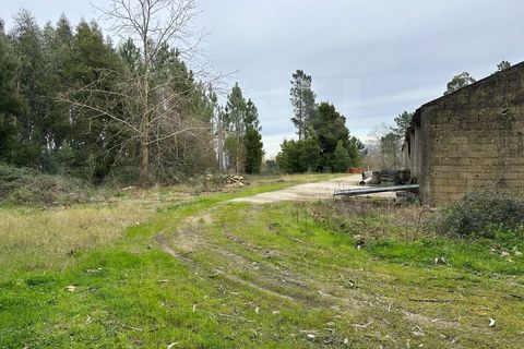 Erhvervsejendom i Moncao, Viana do Castelo, Moncao - € 149.000 | Ref: F2-04-13 - foto 12