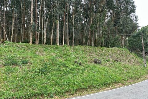 Erhvervsejendom i Moncao, Viana do Castelo, Moncao - € 149.000 | Ref: F2-04-13 - foto 15