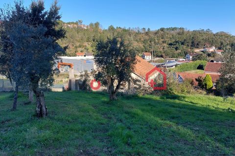 Byhus i Ourem, Santarem, Ourem - € 145.000 | Ref: 00667 - foto 3