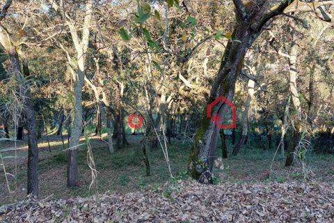 Byhus i Ourem, Santarem, Ourem - € 145.000 | Ref: 00667 - foto 8