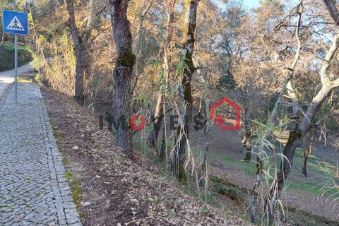 Byhus i Ourem, Santarem, Ourem - € 145.000 | Ref: 00667 - foto 11