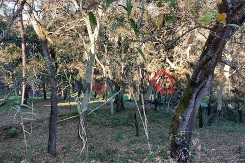 Byhus i Ourem, Santarem, Ourem - € 145.000 | Ref: 00667 - foto 12