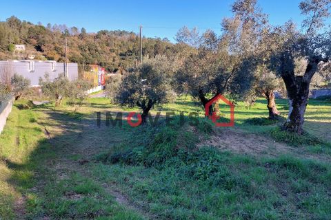 Byhus i Ourem, Santarem, Ourem - € 145.000 | Ref: 00667 - foto 13