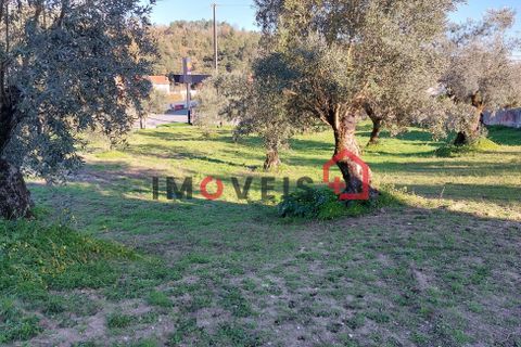 Byhus i Ourem, Santarem, Ourem - € 145.000 | Ref: 00667 - foto 15