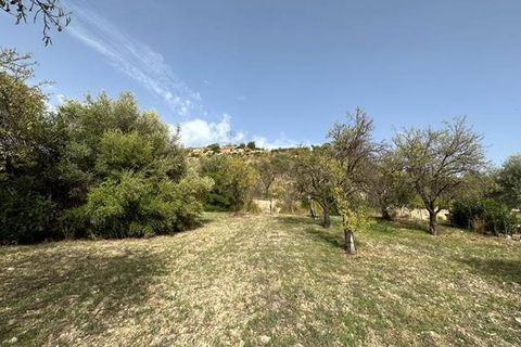 Helårsgrund i Noto, Siracusa, Noto - € 19.000 | Ref: V000084 - foto 3