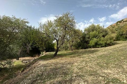 Helårsgrund i Noto, Siracusa, Noto - € 19.000 | Ref: V000084 - foto 4