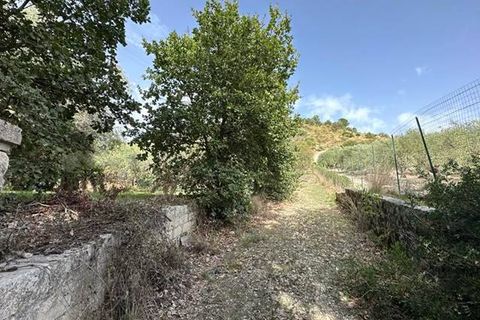 Helårsgrund i Noto, Siracusa, Noto - € 19.000 | Ref: V000084 - foto 6