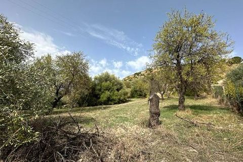Helårsgrund i Noto, Siracusa, Noto - € 19.000 | Ref: V000084 - foto 7