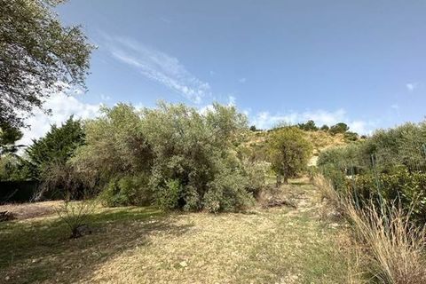 Helårsgrund i Noto, Siracusa, Noto - € 19.000 | Ref: V000084 - foto 8