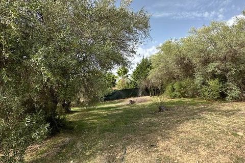 Helårsgrund i Noto, Siracusa, Noto - € 19.000 | Ref: V000084 - foto 9
