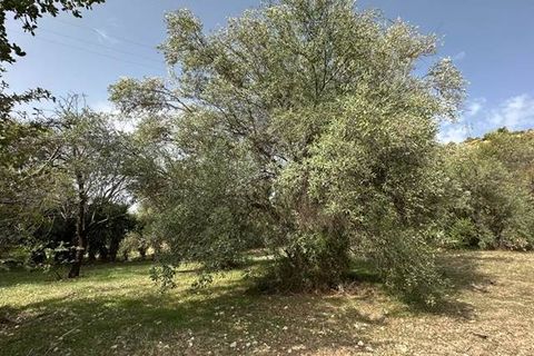 Helårsgrund i Noto, Siracusa, Noto - € 19.000 | Ref: V000084 - foto 10