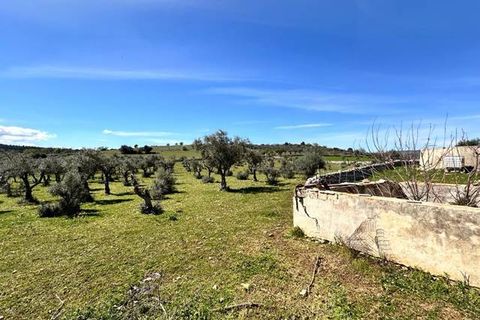 Helårsgrund i Ferla, Siracusa, Ferla - € 700.000 | Ref: V000088 - foto 5