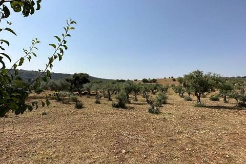 Helårsgrund i Ferla, Siracusa, Ferla - € 700.000 | Ref: V000088 - foto 6