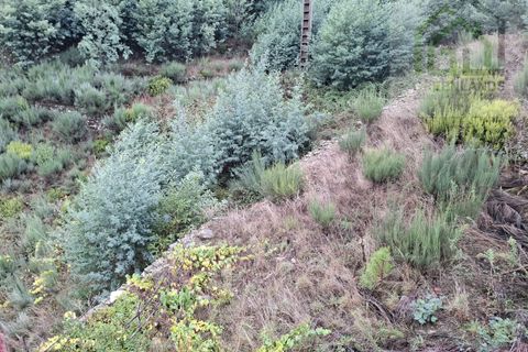 Villa a Arganil, Coimbra, Arganil - € 59.000 | Ref: 621 - foto 11