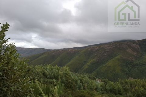Villa a Arganil, Coimbra, Arganil - € 59.000 | Ref: 621 - foto 13