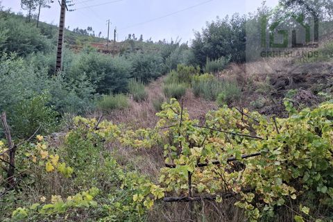 Villa a Arganil, Coimbra, Arganil - € 59.000 | Ref: 621 - foto 15