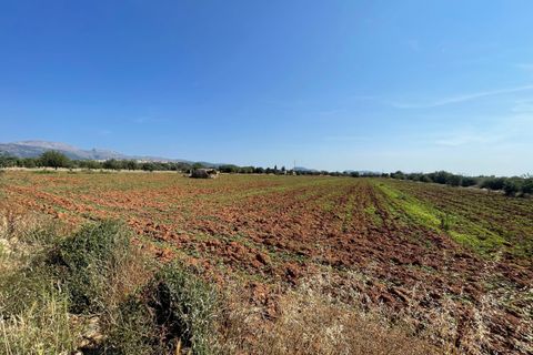 Helårsgrund i Buger, Mallorca, Buger - € 520.000 | Ref: BUG0642 - foto 2