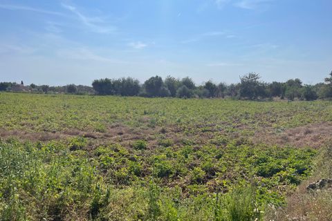 Helårsgrund i Buger, Mallorca, Buger - € 520.000 | Ref: BUG0642 - foto 3