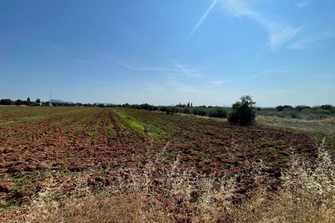 Helårsgrund i Buger, Mallorca, Buger - € 520.000 | Ref: BUG0642 - foto 4