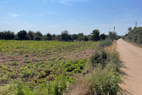 Helårsgrund i Buger, Mallorca, Buger - € 520.000 | Ref: BUG0642 - foto 5