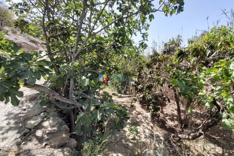 Landejendom i Albox, Almeria, Albox - € 60.000 | Ref: 2602 - foto 31