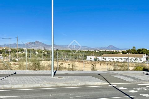Helårsgrund i Alicante, Alicante, Alicante - € 700.000 | Ref: ALI31729 - foto 3