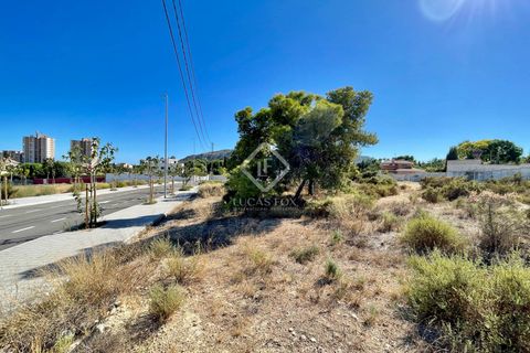 Helårsgrund i Alicante, Alicante, Alicante - € 700.000 | Ref: ALI31729 - foto 5