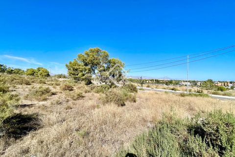 Helårsgrund i Alicante, Alicante, Alicante - € 700.000 | Ref: ALI31729 - foto 8