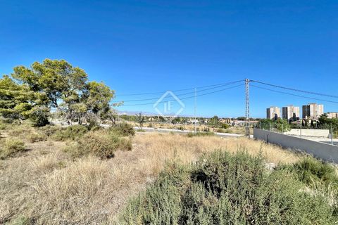 Helårsgrund i Alicante, Alicante, Alicante - € 700.000 | Ref: ALI31729 - foto 9