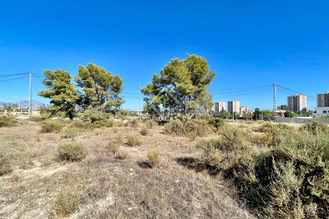 Helårsgrund i Alicante, Alicante, Alicante - € 700.000 | Ref: ALI31729 - foto 12