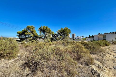 Helårsgrund i Alicante, Alicante, Alicante - € 700.000 | Ref: ALI31729 - foto 13