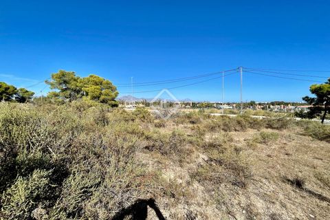 Helårsgrund i Alicante, Alicante, Alicante - € 700.000 | Ref: ALI31729 - foto 14