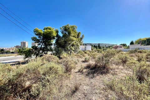 Helårsgrund i Alicante, Alicante, Alicante - € 700.000 | Ref: ALI31729 - foto 16