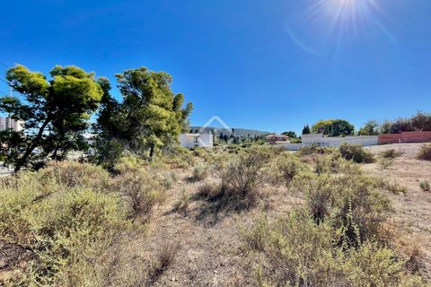Helårsgrund i Alicante, Alicante, Alicante - € 700.000 | Ref: ALI31729 - foto 17