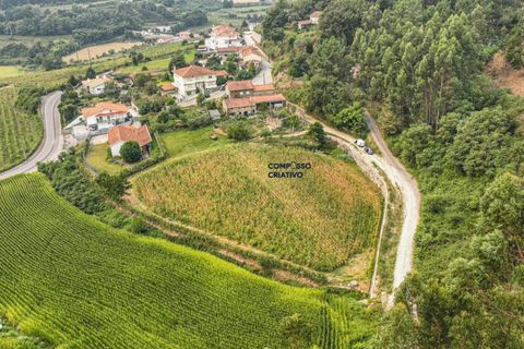 Helårsgrund i Guimaraes, Braga, Guimaraes - € 210.000 | Ref: 210120251 - foto 9
