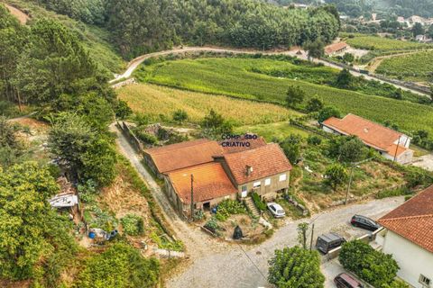 Helårsgrund i Guimaraes, Braga, Guimaraes - € 210.000 | Ref: 210120251 - foto 10