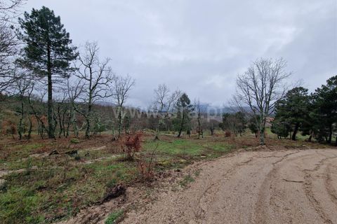 Helårsgrund i Guarda, Guarda, Guarda - € 35.000 | Ref: 046240312 - foto 12