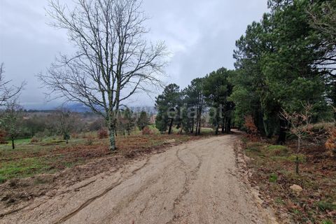 Helårsgrund i Guarda, Guarda, Guarda - € 35.000 | Ref: 046240312 - foto 13