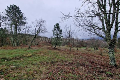 Helårsgrund i Guarda, Guarda, Guarda - € 35.000 | Ref: 046240312 - foto 2