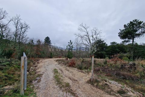 Helårsgrund i Guarda, Guarda, Guarda - € 35.000 | Ref: 046240312 - foto 14